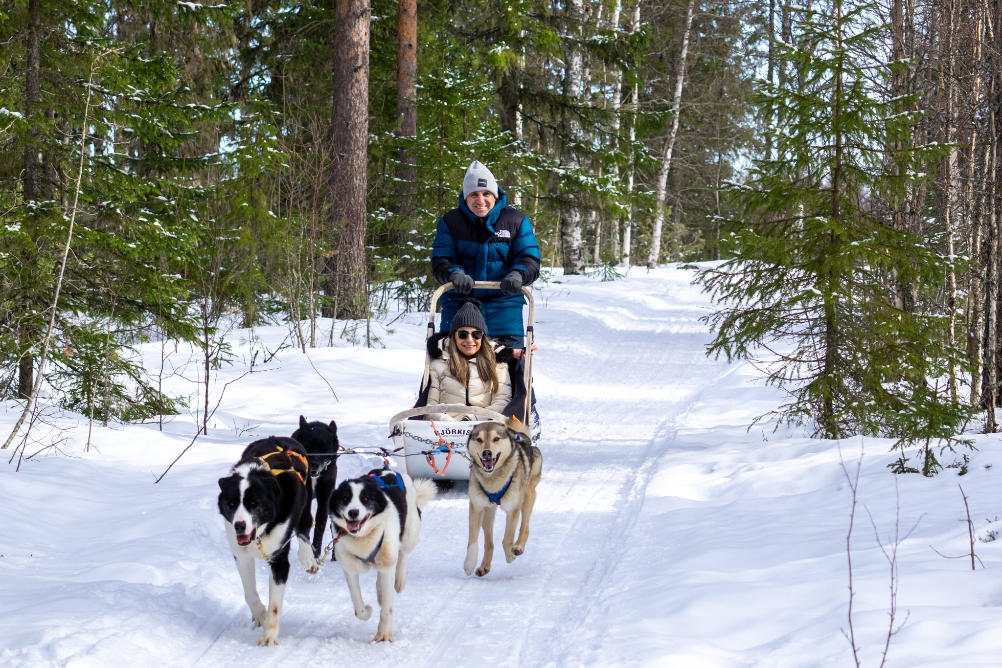 HUSKY EXPERIENCE