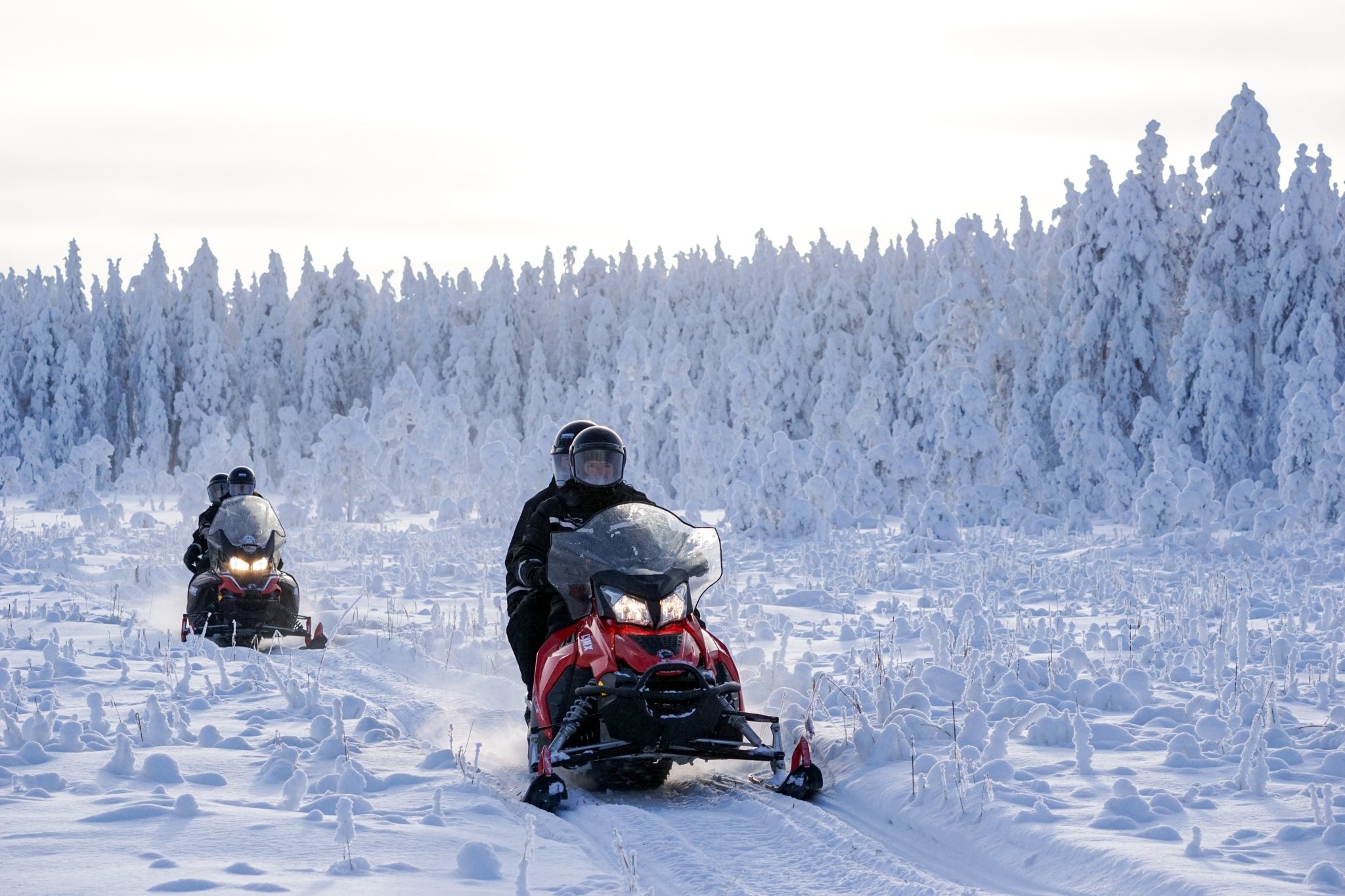 SNOWMOBILE SAFARIS